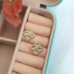 Rajsi Earrings (1 gram gold polish)