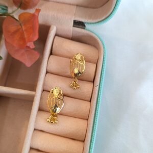 Tejvi Earrings (1 gram gold polish)