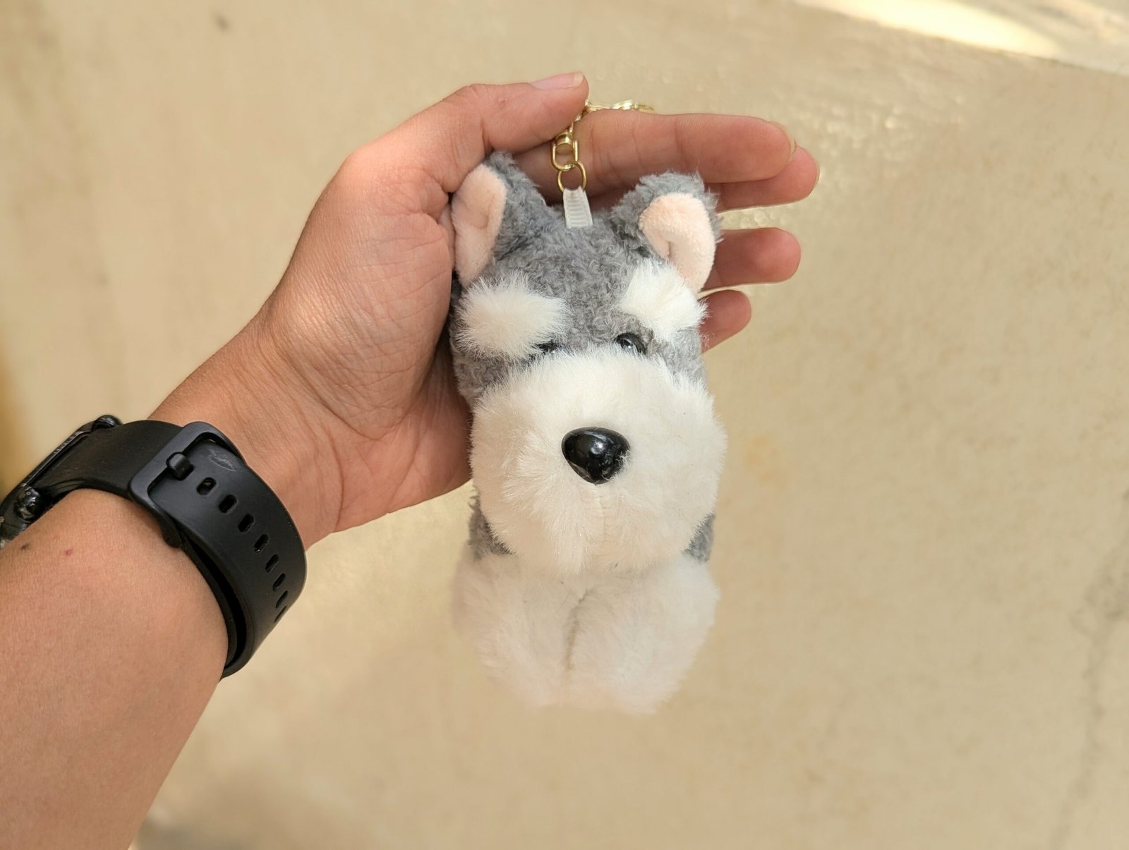 PXL_20251124_072442006.PORTRAIT~2